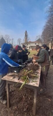 Peccato Vegetale - Settore Agricolo