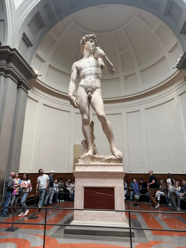 firenze-cnosarese