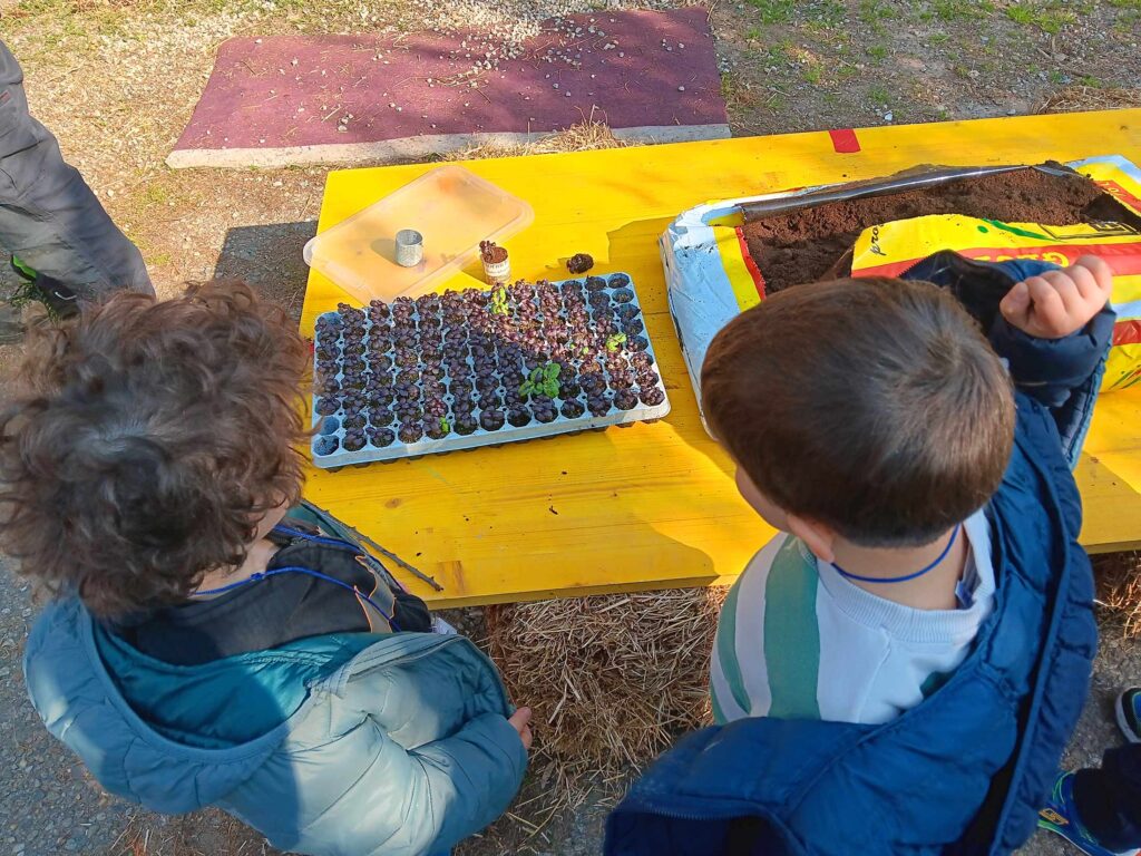 scuola-infantile-settore-agricolo